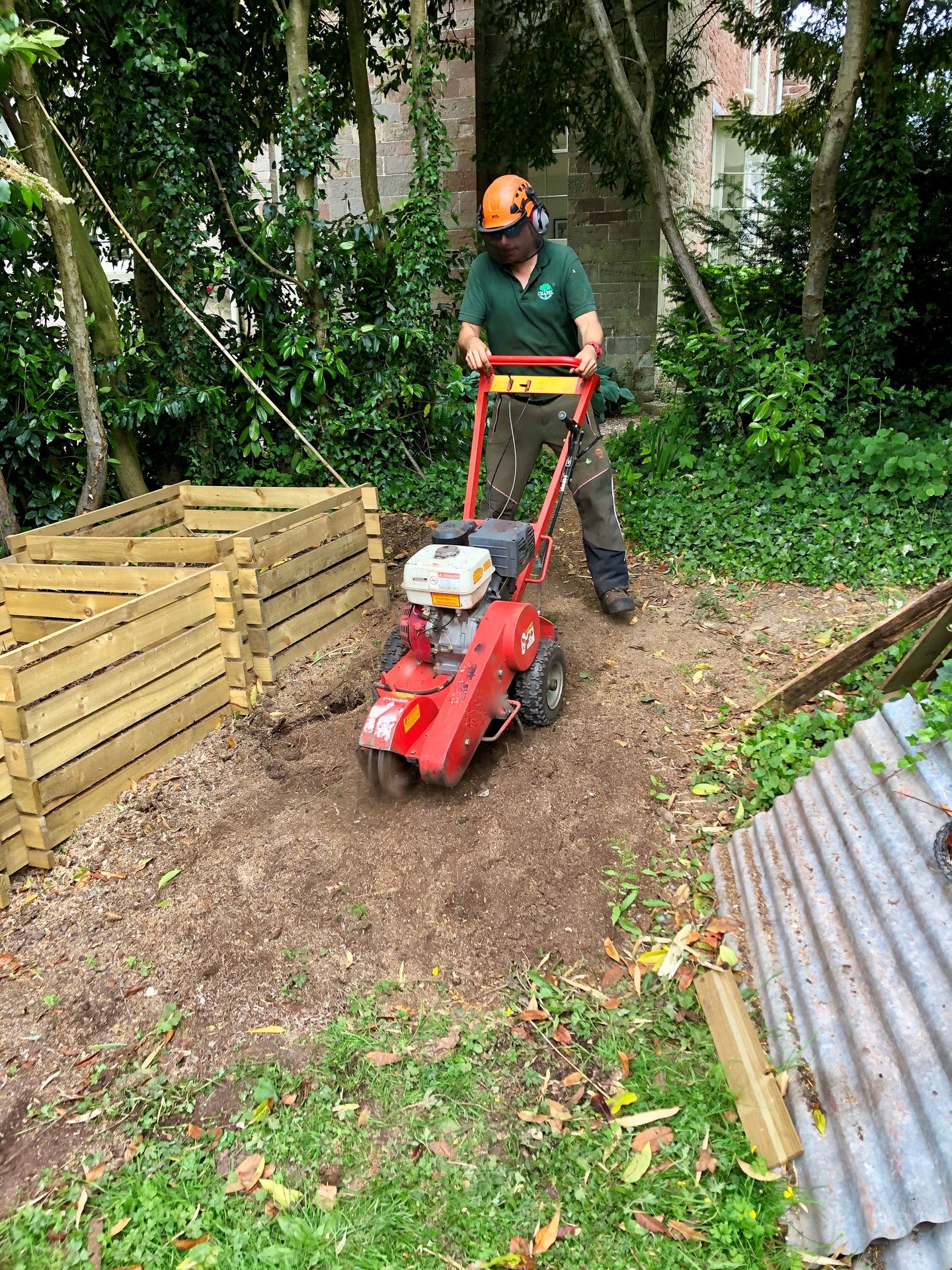 Team member stump grinding