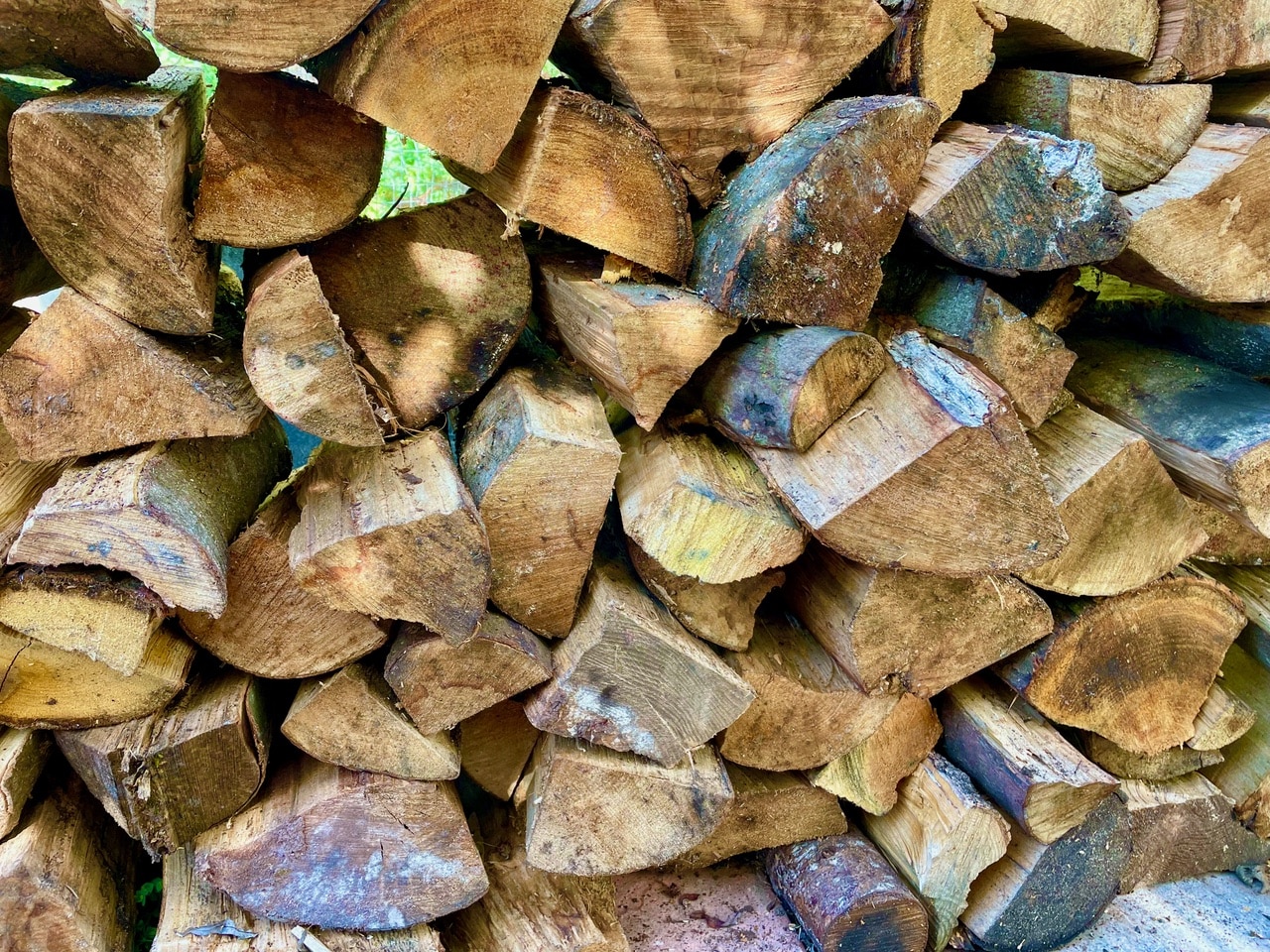 Firewood Stacks from Chapel Tree