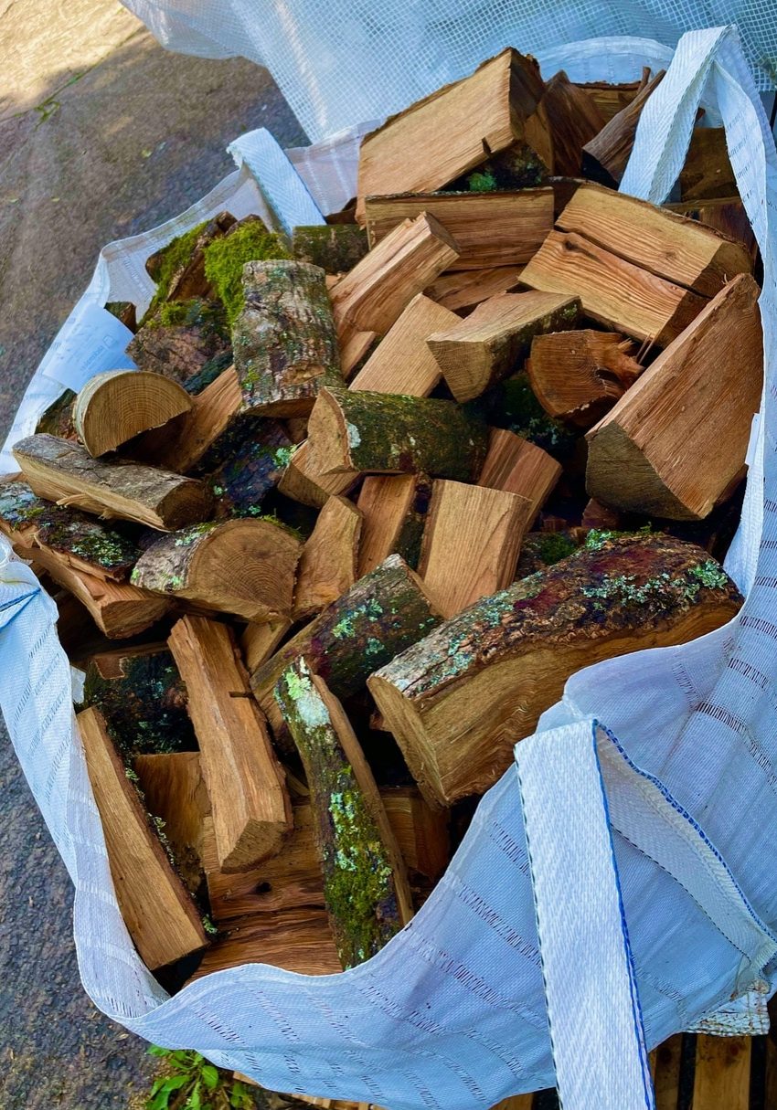 Available Firewood from Chapel Tree